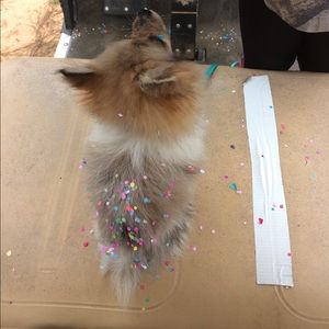 Meet your Posher, Trinity